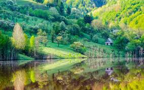 For other nature pictures in high definition resolution please browse now our collection of scenery wallpapers. Mountain Slope Trees House Lake Water Reflection Spring Scenery Wallpaper Nature And Landscape Wallpaper Better
