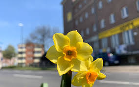 Gründonnerstag — gründonnerstag, der donnerstag in der charwoche (s. Ruhetage An Ostern Radio Rur