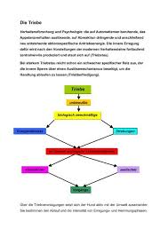 Als innere handlung begreift man emotionen, gedankengänge, beweggründe oder berechtigungen, welche den protagonisten zum jeweiligen vorgehen veranlassen. Die Triebe