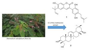 Image result for Sphenostylis marginata