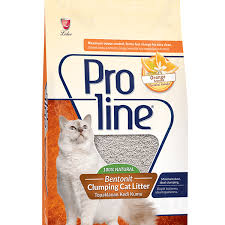 Proline Portakal Kokulu Topaklasan Kedi Kumu 10 Lt
