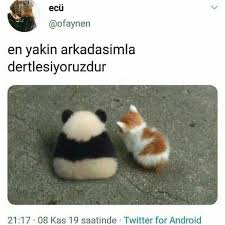 Muberra Arik Adli Kullanicinin Komik Alintilar Panosundaki Pin Komik Seyler Komik Alintilar Komik