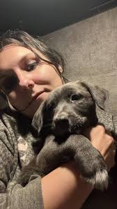 Let's welcome our new members! We are glad you're here! Allyn West, Sarayla  Harshman, Marc Wake, Scott Justice, Billy Kilmer, Patsy West, Tammye Rush  Ladd, April Nicole Nikki Hickox, Sam Hawkins, Minisa