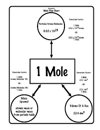 1 Mole Flow Chart Cwk Wp