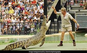 We did not find results for: Steve Irwin S Son Recreates His Iconic Crocodile Pic After 15 Years
