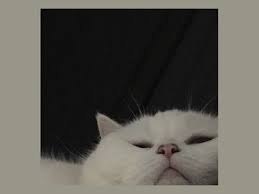 Download now ayam illustrations royalty free vector graphics clip art istock. Putri Ambun Ambunpaggy Profil Pinterest