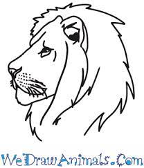 Learn to draw on the wild side. How To Draw A Lion Head