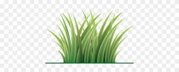 How many photos are in the lawn care logo? Luna Lawn Care Services Hardscaping Lawn Mowing And Lawn Care Logo Png Free Transparent Png Clipart Images Download