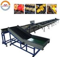 Good Price Automatic Commercial Lemon Grading Sorting Machine Auto  Industrial Lemons Weight Grader S