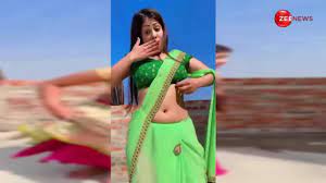 Bhojpuri sexy video | wionews.com