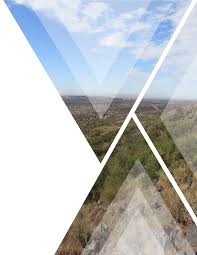 Image result for Plinthus cryptocarpus