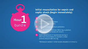 Sepsis is a serious medical condition. The Surviving Sepsis Campaign Bundle 2018 Update Esicm