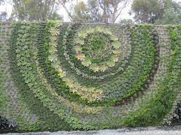Wall Planting At South Coast Botanic Garden South Coast Botanic Garden Vertical Garden Garden Design
