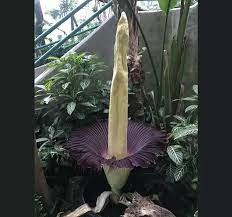 Pin On Nature