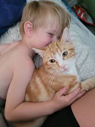 Lost cat Preston in Campbell River