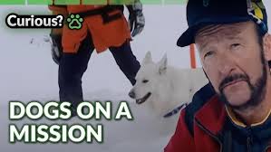 This Dog SOLVES A Suspected Arson Case