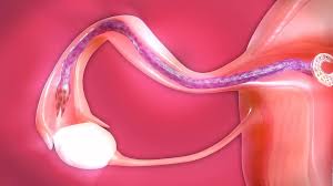 Filling Tifas Womb (X-ray Tentacles version)