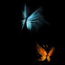 butterfly ipad wallpapers iphone wallpapers ipad wallpapers one stop download ipad air wallpaper butterfly art butterfly wallpaper butterfly ipad wallpapers iphone