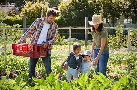 Planning the vegetable garden layout. Growing With Your Family Home Living In Greater Gainesville