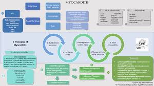 Myocarditis is an inflammatory disease of the myocardium with a wide range of clinical presentations, from subtle to devastating. Myocarditis A Practical Approach Presented By The Cardionerds