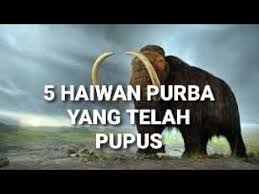 Maybe you would like to learn more about one of these? 5 Haiwan Purba Yang Telah Pupus Dan Ramai Tak Tahu Youtube