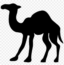 1024 x 862 jpeg 75 кб. Camel Png Image With Transparent Background Toppng