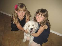 Over 60 rescues groups with hundreds of animals up for adoption including dogs, cats, bunnies, parrots. Pet Adoption Centers In Arizona Raising Arizona Kids Magazine