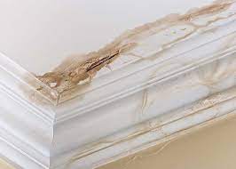 Mold testing consulting in west hartford on yp.com. Water Damage West Hartford 1 Water Damage Restoration