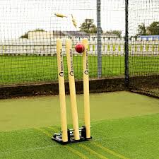 Fortress Spring Back Cricket Stumps Regulation Wooden Stumps Bails Cricket Equipment Cricket Stumps Cricket
