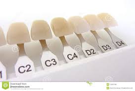 dental shade guide stock photo image of prothesis imprint