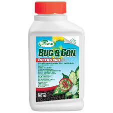 Killigan's rest in peace bed bug spray non toxic indoor insect control insect spray 6 foggers bug killer roach ant spider indoor home pest control bomb. Bug B Gon Insecticide Concentrate 500 Ml Hydroponics Wholesale Portal Holland Industry