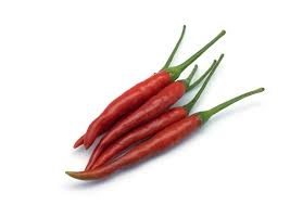 Image result for Capsicum frutescens