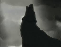 Dapatkan kumplan berbagai macam gambar anime gif dan animasi gif terbaru. Howling Wolves Gifs 70 Animated Images For Free