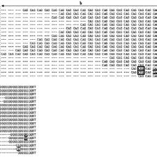 Stella08auckland wrote a review oct 2018. Pdf Comparison Of Androgen Receptor Cag And Ggn Repeat Length Polymorphism In Humans And Apes