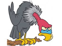 images?q=tbn:ANd9GcTxekxm3QUgFGPeEsEHlBdq9dxEucDDUuyfiOfJy5A_Wfvz91e7