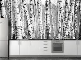 Black And White Birch Tree Wall Art Birch Forest Wall Mural Forest Wall Mural Tree Wall Murals Birch Tree Wallpaper