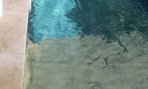 Pourquoi Et Comment Supprimer Rapidement Le Pollen De Votre Piscine