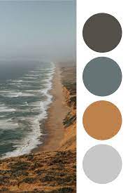 Sherwin Williams 2021 Color Of The Year House Color Palettes House Color Schemes Paint Colors For Home