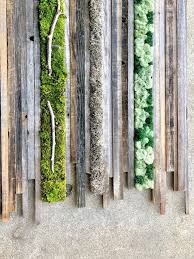 Wandgarten Mischungsgebietes Erhaltenes Moos Und Rustikales Holz Kunstplatte Ummauerter Garten Gartendesign Ideen Und Moos Dekor