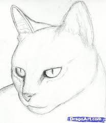 We guide you to learn to draw realistic animals. Image Result For How To Draw Realistic Animals Step By Step For Kids Katzenzeichnung Katzen Zeichnungen Und Katze Zeichnen
