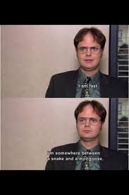 Dwight Is And Always Will Be My Fsvorite On The Office The Office Show Office Humor Office Quotes