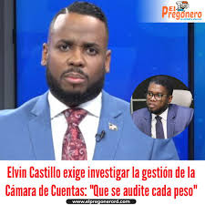 El periodista Elvin Castillo pidió públicamente que todos los miembros de  la Cámara de Cuentas sean investigados y que su gestión sea auditada en  detalle. Según Castillo, el desorden administrativo y la