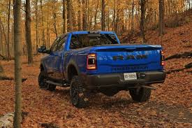 Image result for Power Tan 2020 Ram