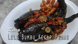 Jun 29, 2021 · ikannya berukuran besar yang disajikan dengan kuah merah. Resep Lele Bumbu Kecap Pedas Youtube