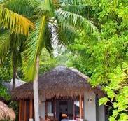 Tropical Beach Hut with Thatched Roof