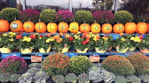 Types you can buy with ebt: Whole Foods Word Of Mouth