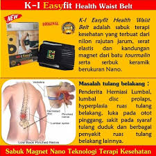 Fiszkoteka, your checked indonesian english dictionary! Tulang Belakang In English