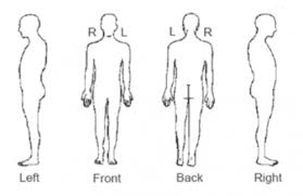 Editing Wheelchair Assessment Physical Assessment