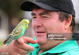 565 Michael Parrott Stock Photos, High-Res Pictures, and Images