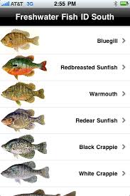 Freshwater Fish Id South Helps You Identify Fish That Live
